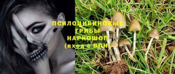 apvp Абаза