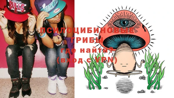 apvp Абаза
