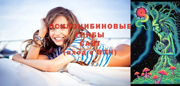 apvp Абаза