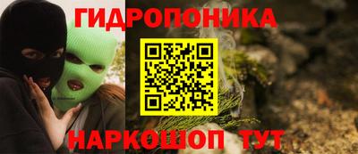 бошки Новодвинск