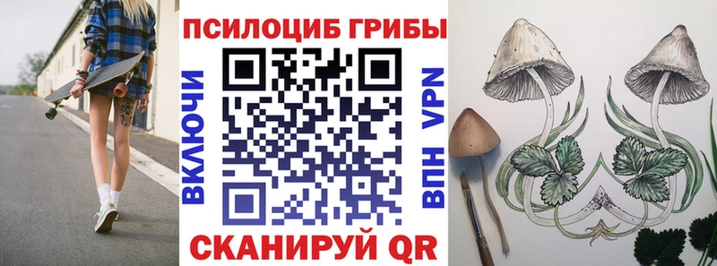 Галлюциногенные грибы Cubensis  сколько стоит  Чита 