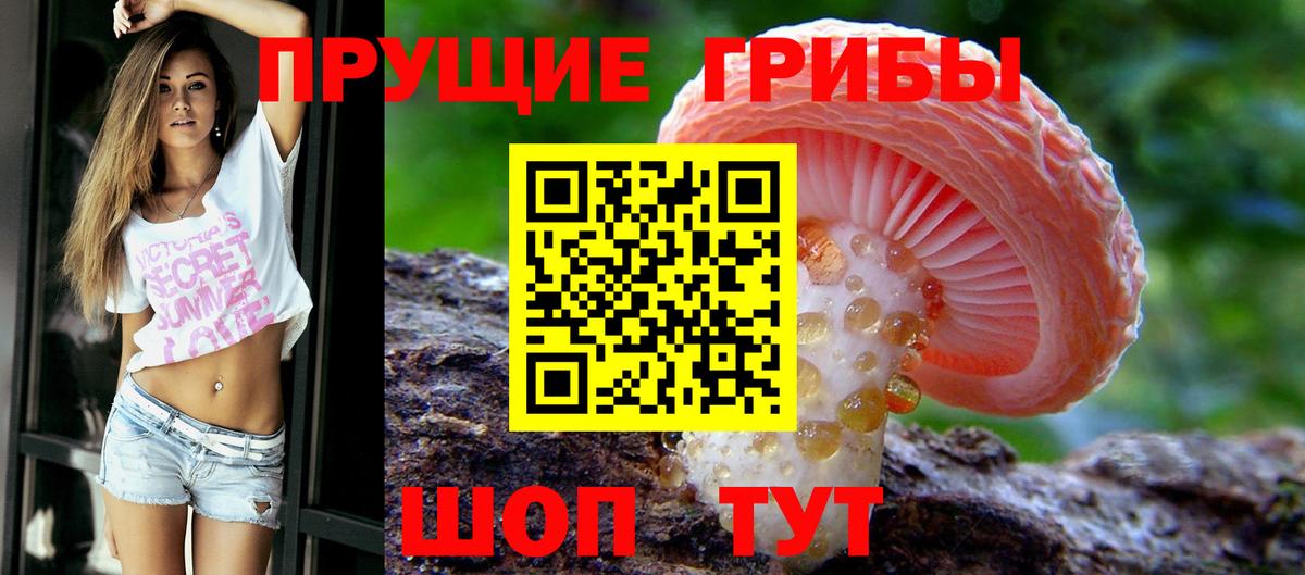 Галлюциногенные грибы MAGIC MUSHROOMS  Галлюциногенные грибы Psilocybine cubensis  Вход с VPN  Чита 