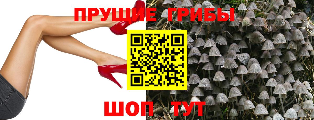 Галлюциногенные грибы мухоморы Чита