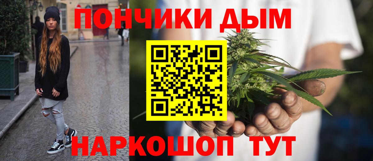 Каннабис индика Чита